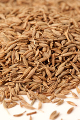 A close-up of seeds of cumin