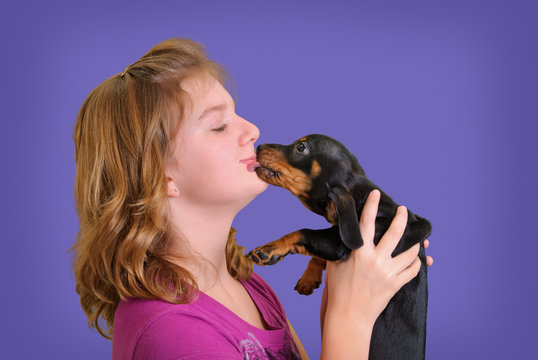 Daschund Licking Girl's Face