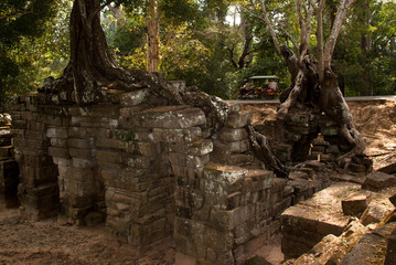 Fototapeta na wymiar Balade en Tuk Tuk - Angkor Wat - Cambodge