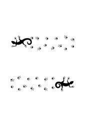 Lizards and traces. Vector illustration
