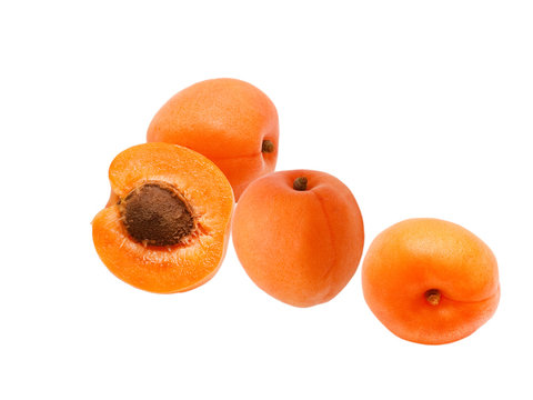 apricot isolated on white background