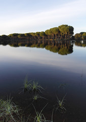 Laguna de San Lazaro