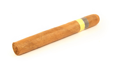 Cuban cigar (no logo visible)