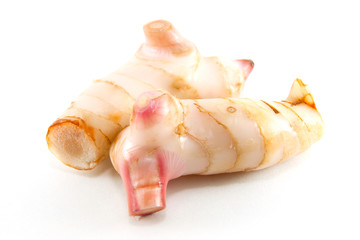 rhizome of galangal on white background