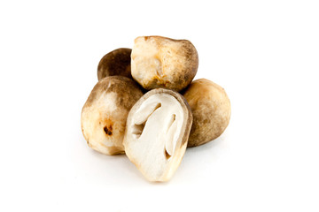 straw mushroom on white background