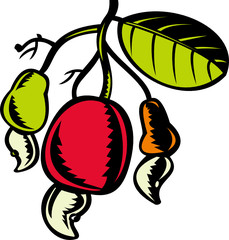 cashew nut and fruit with leaf woodcut