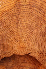 Naklejka premium wood