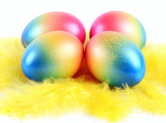 colorful easter eggs with yellow birds feather