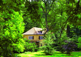 Cottage hidden in the woods