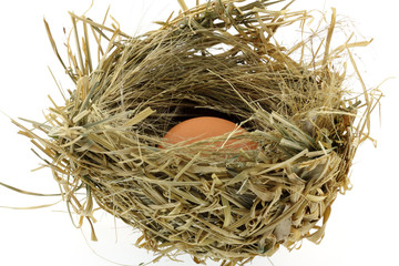 oeuf dans nid d'oiseau