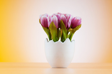 Colorful tulip flowers in the white pot
