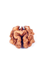 nut