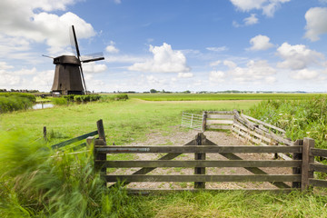 Dutch windmill in fresh green field in summer - 29949237