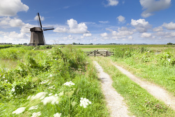 Dutch windmill in fresh green field in summer - 29949291