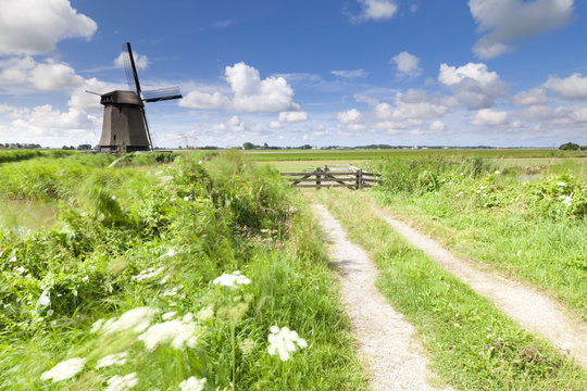 Dutch windmill in fresh green field in summer