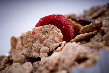 Fruit Muesli