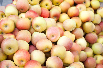 Pile of apples..