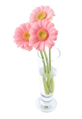 Gerberas bouquet