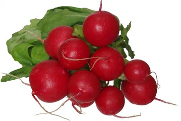 radish from green leaves