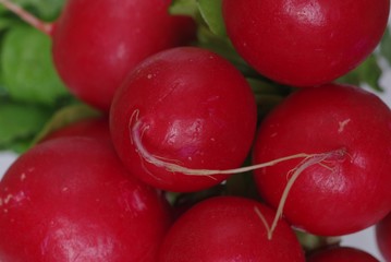 radish from green leaves