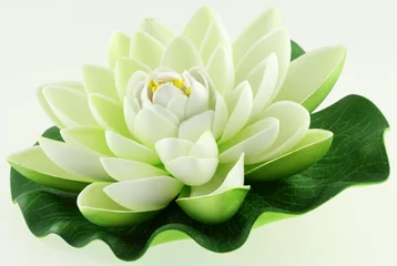 Afwasbaar Fotobehang Lotusbloem witte lotusbloem