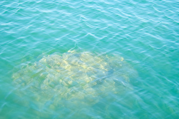 underwater stone and sea surface background