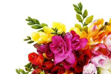 lovely freesia