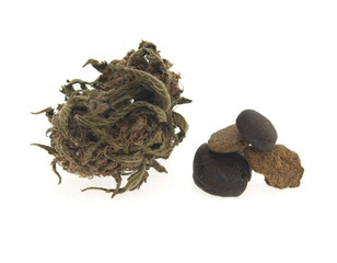 Dried marihuana bud and real pieces of hashish