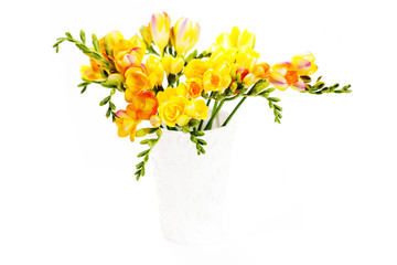 lovely freesia