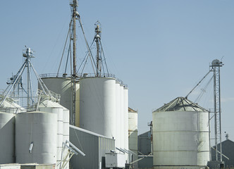 Grain silos for rice storage