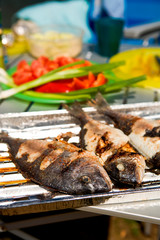 grilled fish