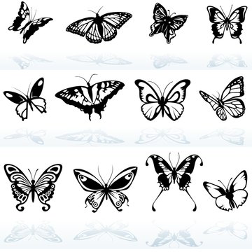 Butterfly Silhouettes - colored illustration
