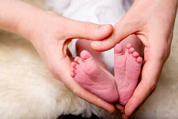 Heart Around Newborn Feet