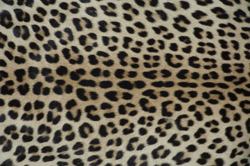 pelle di leopardo