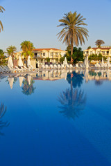 Palm Trees reflecting