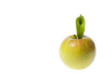 Green apple