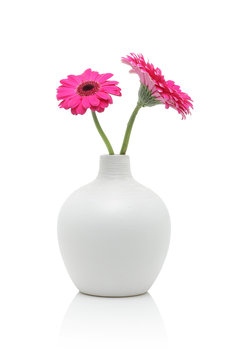 Two pink gerbera flowers in white vase