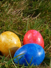 bunte Ostereier auf einer Wiese