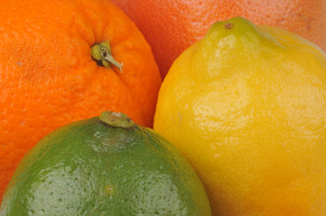 Quadrille d'agrumes