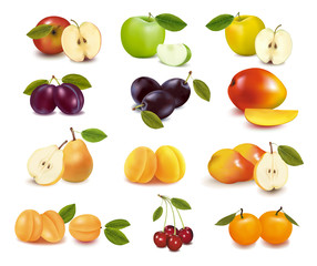 Group with different sorts of fruit. Vector.
