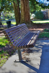 Wood Park Bench HDR