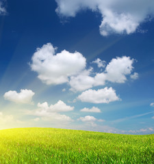 Sunrise in grean meadow