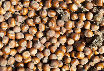 Nuts Background