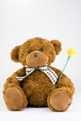 teddy bear keeping flower