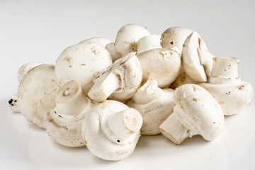 a haep of mushroom