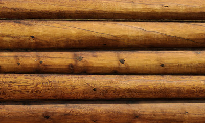 Weathered logs