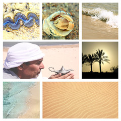 Oriental  arabic theme with sand, sea, seashells and magic lamp