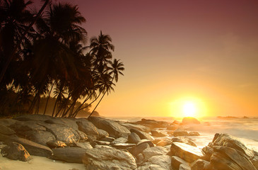 Naklejki  Wschód słońca na Sri Lance