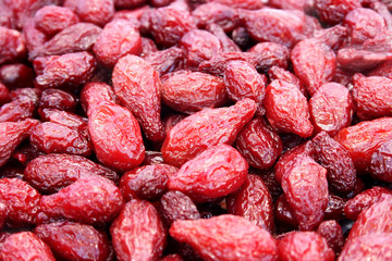 Dried dogwoods