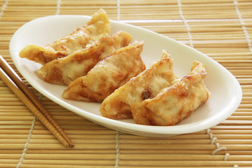 Fried Dumplings